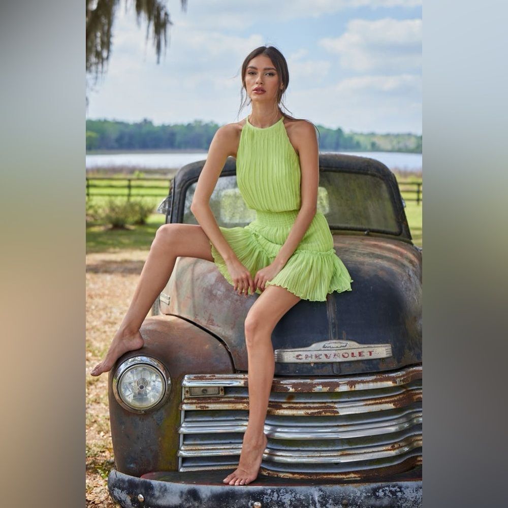 Dress the Population Kaylee Mini Dress – Size L – NWT – Green Pleated